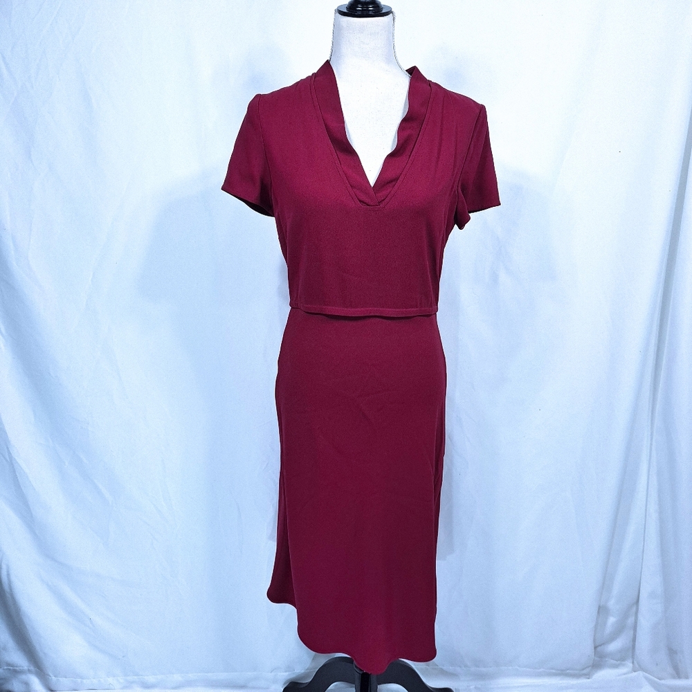 LaVia 18 Burgandy Wine Dress